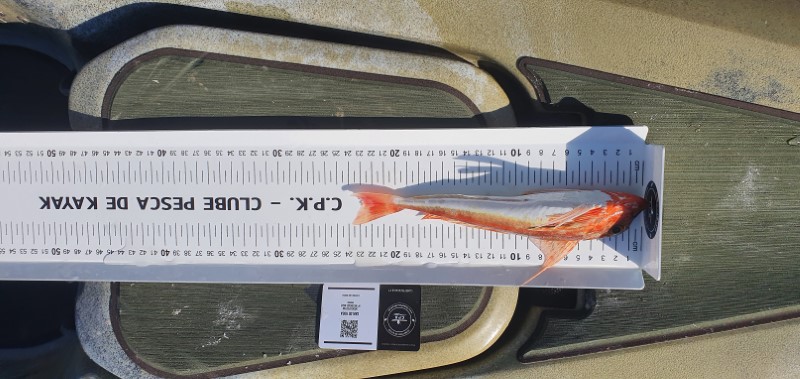 Fish Measure Picture