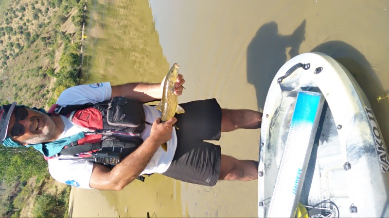 Fish Profile Picture
