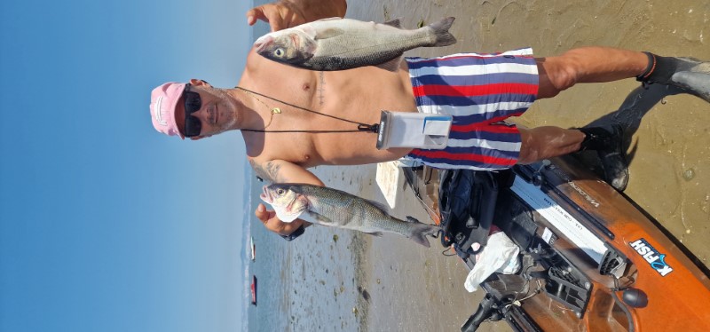 Fish Profile Picture