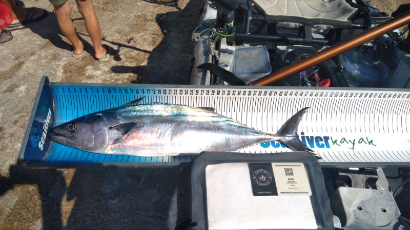 Fish Measure Picture