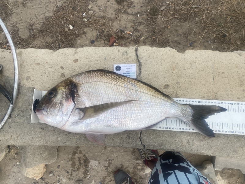 Fish Measure Picture