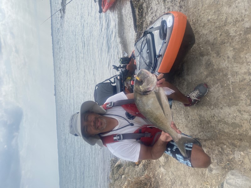 Fish Profile Picture