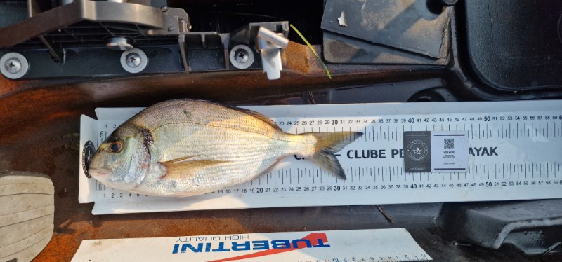 Fish Measure Picture