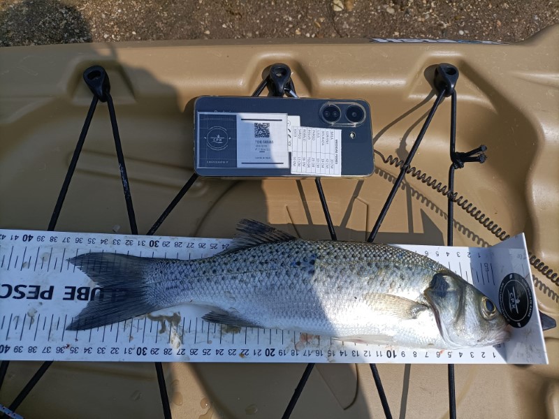 Fish Measure Picture