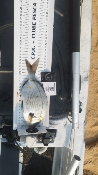 Fish Measure Picture