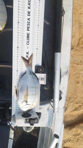 Fish Measure Picture