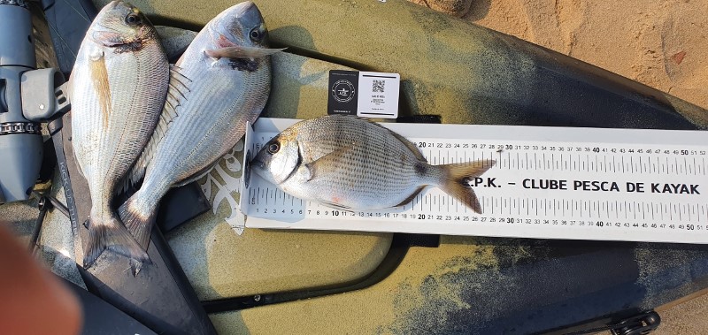 Fish Measure Picture