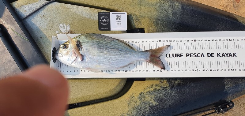 Fish Measure Picture