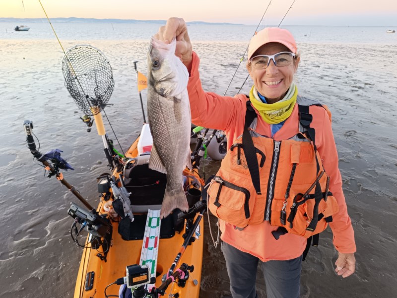 Fish Profile Picture