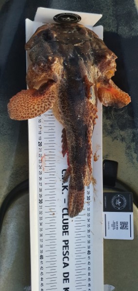 Fish Measure Picture