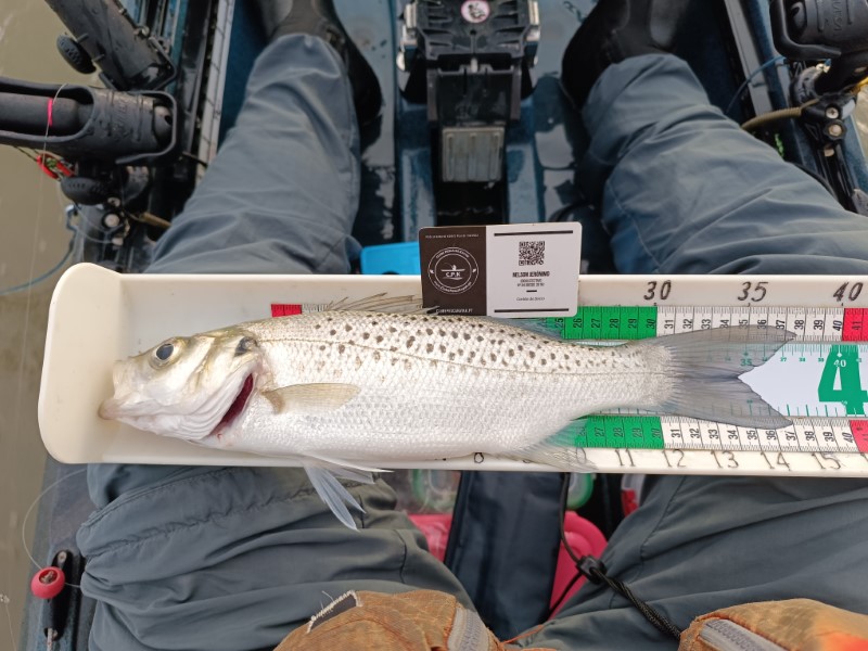 Fish Measure Picture