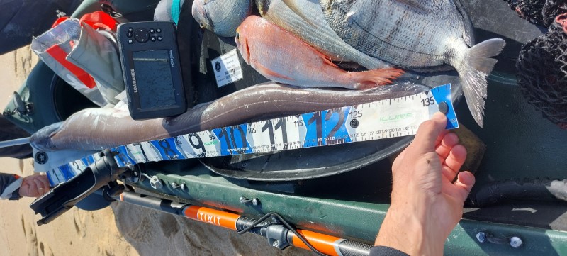 Fish Measure Picture