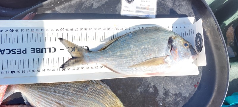 Fish Measure Picture