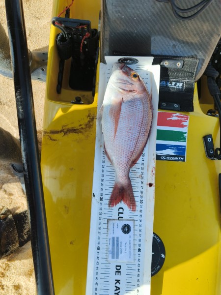 Fish Measure Picture