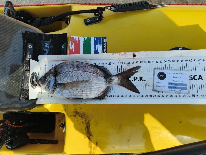 Fish Measure Picture