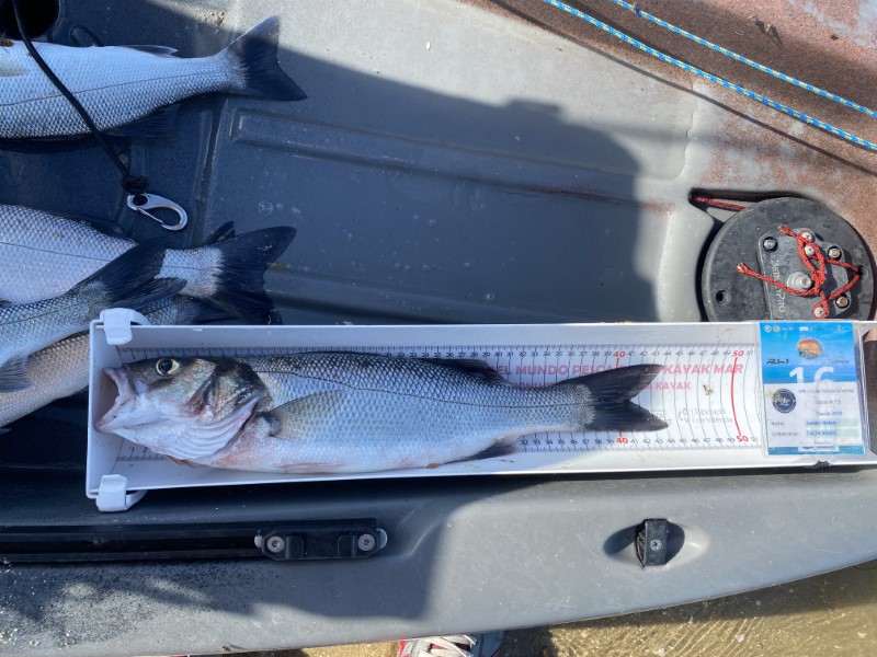Fish Measure Picture