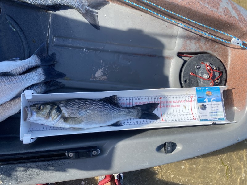 Fish Measure Picture