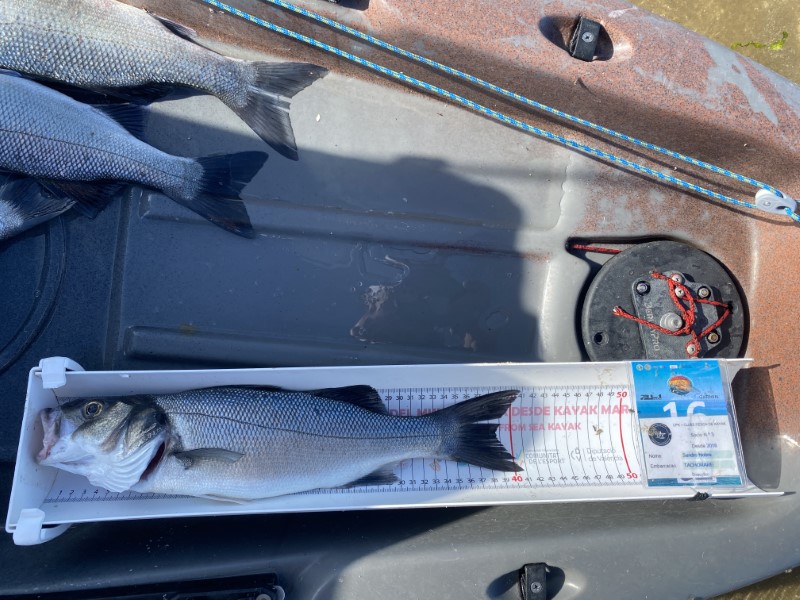 Fish Measure Picture