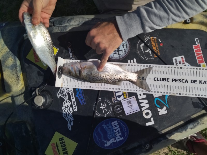 Fish Measure Picture