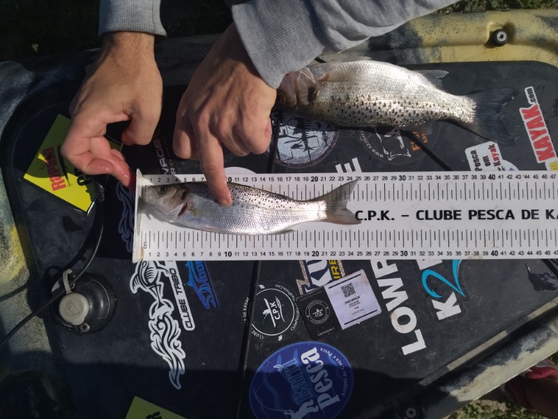 Fish Measure Picture