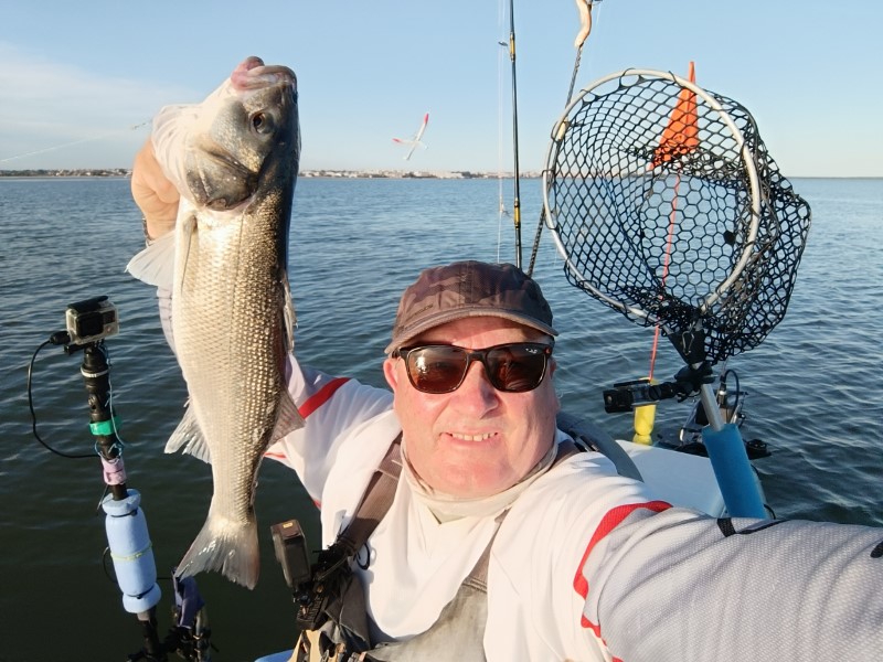 Fish Profile Picture