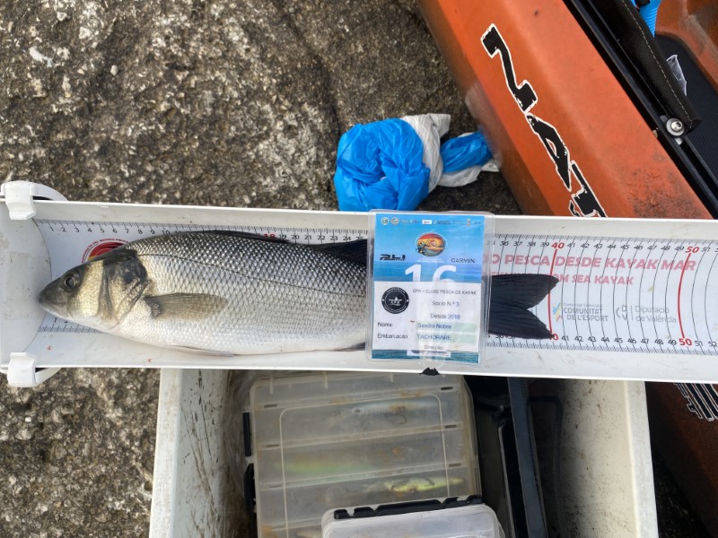 Fish Measure Picture