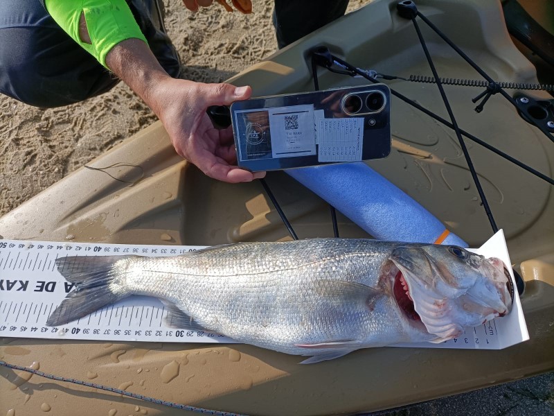 Fish Measure Picture