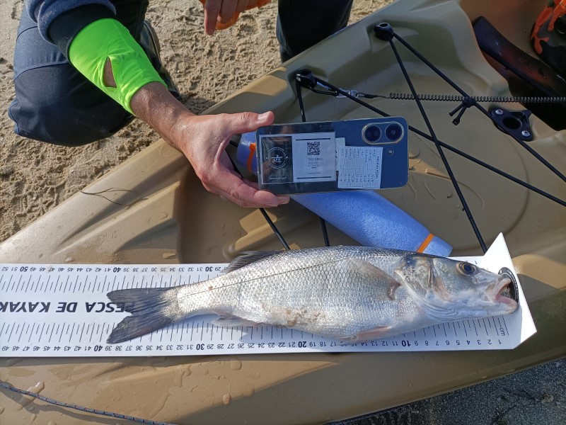 Fish Measure Picture