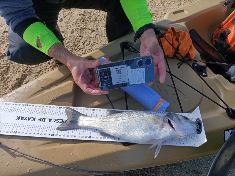 Fish Measure Picture