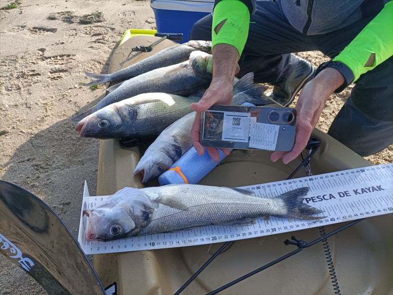 Fish Measure Picture