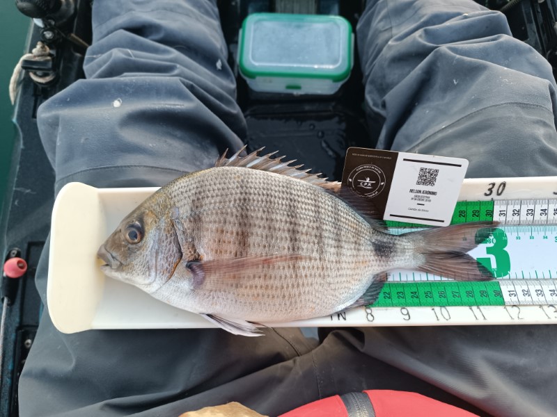 Fish Measure Picture
