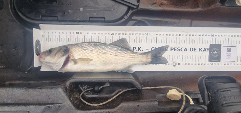 Fish Measure Picture