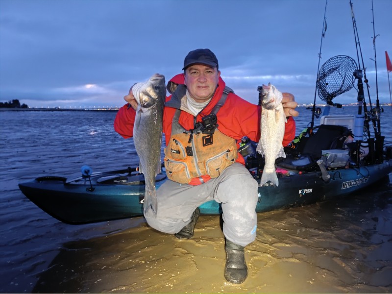 Fish Profile Picture