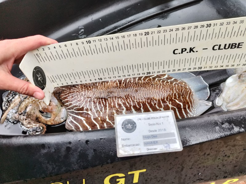Fish Measure Picture