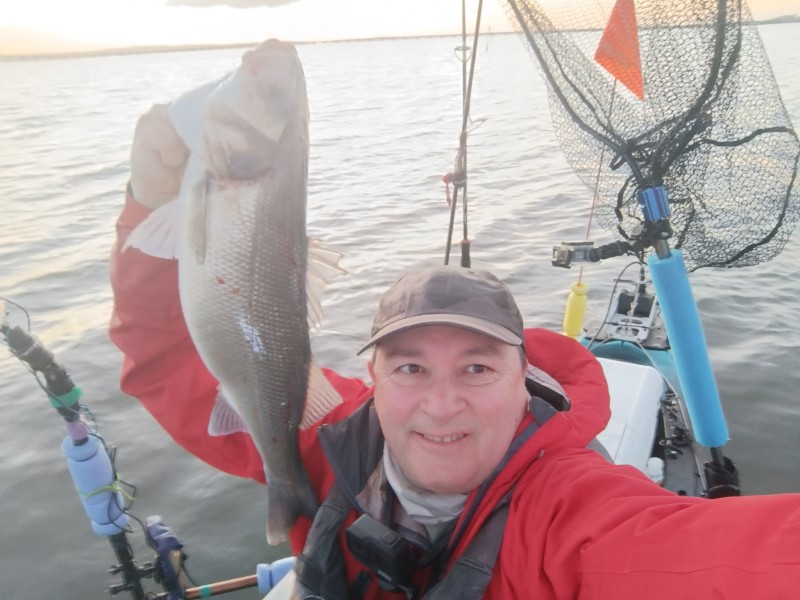 Fish Profile Picture