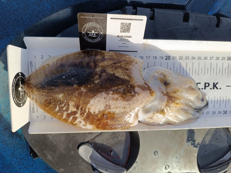 Fish Measure Picture
