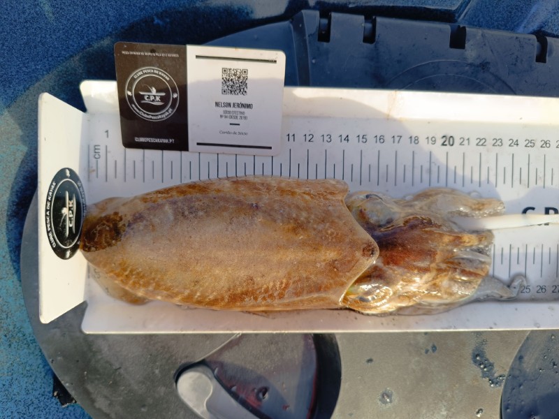 Fish Measure Picture