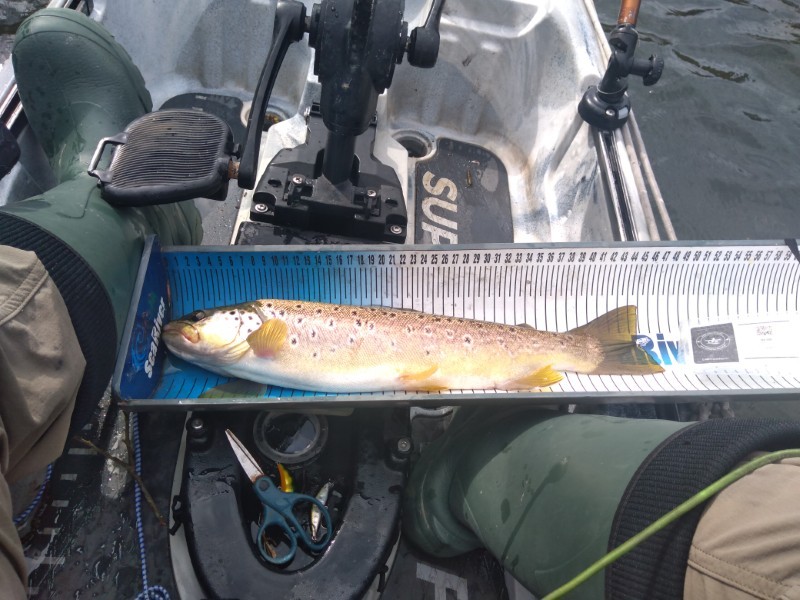 Fish Measure Picture