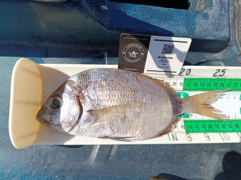 Fish Measure Picture