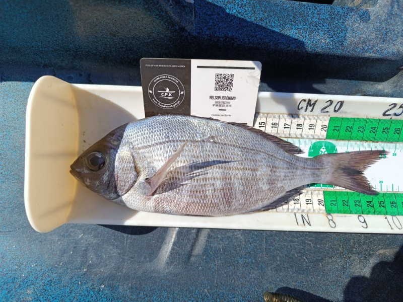 Fish Measure Picture