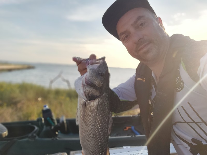 Fish Profile Picture