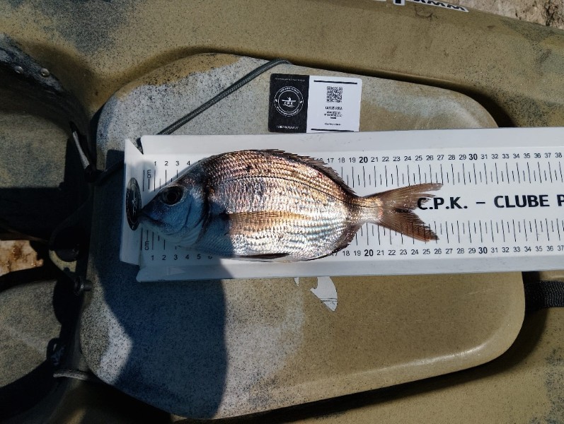 Fish Measure Picture