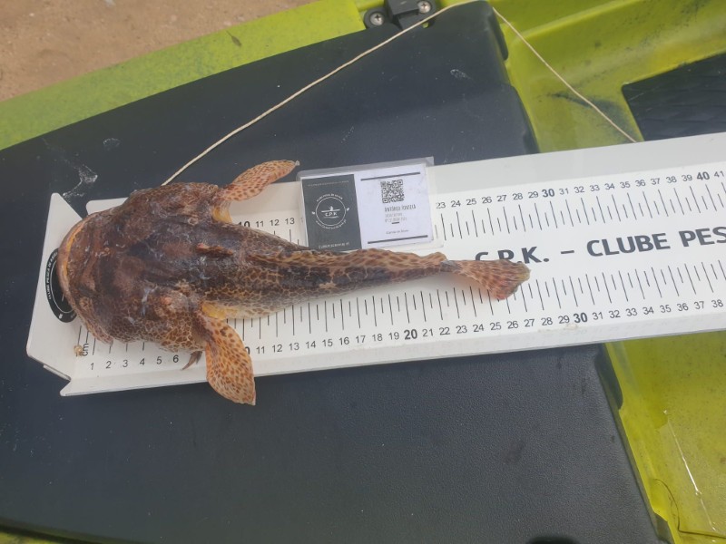 Fish Measure Picture