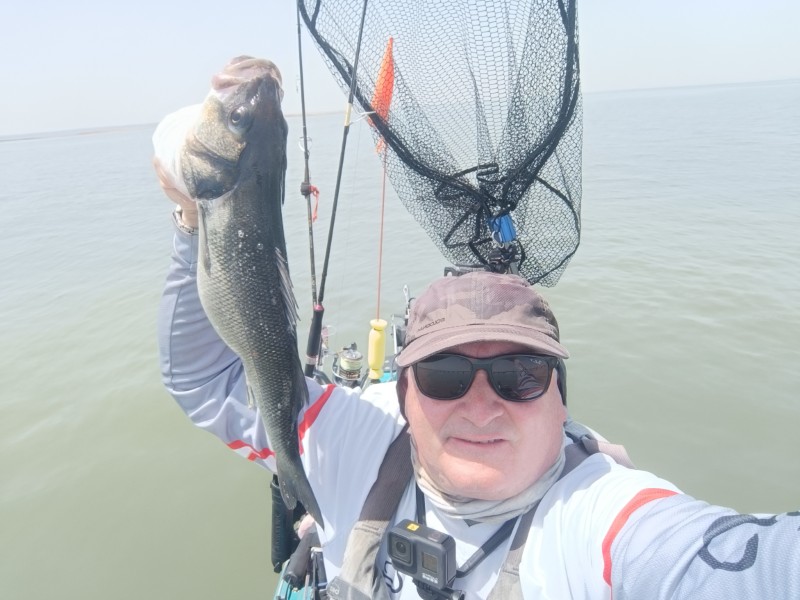 Fish Profile Picture