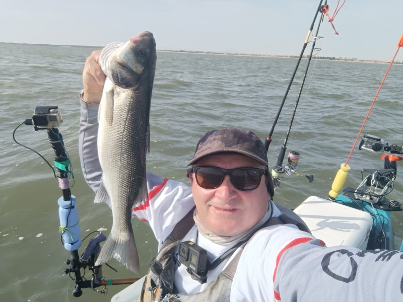 Fish Profile Picture