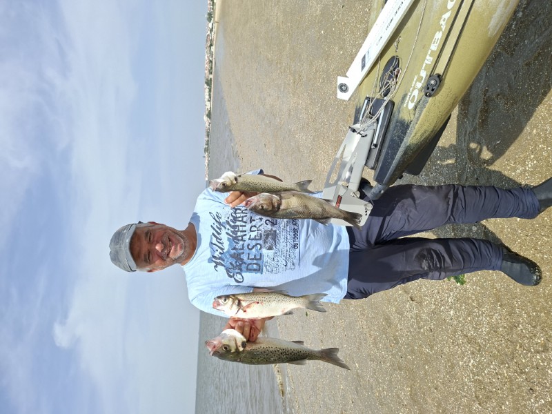Fish Profile Picture