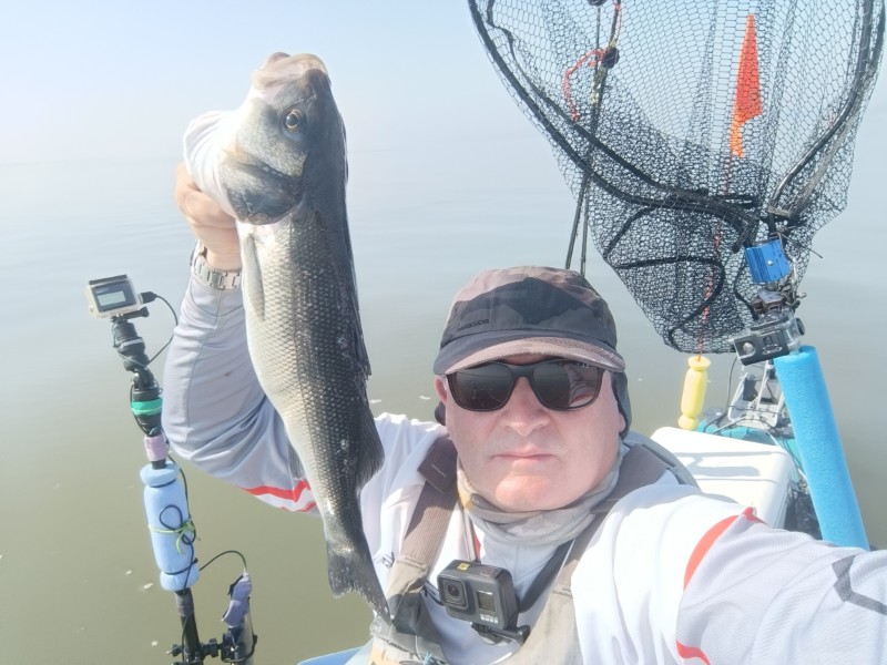 Fish Profile Picture