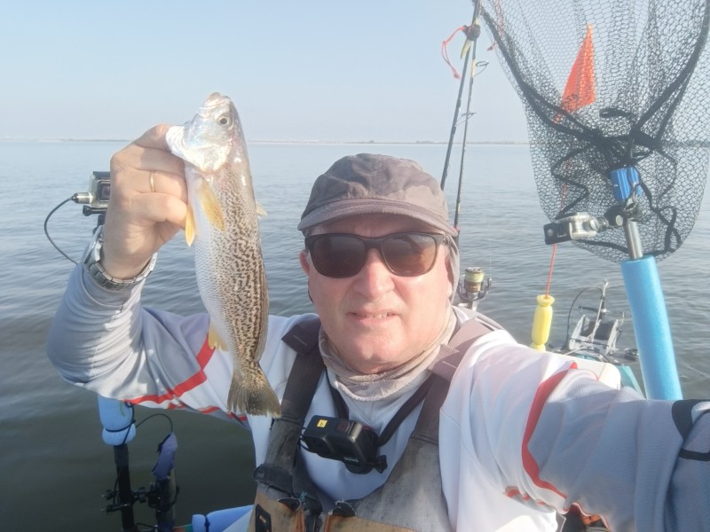Fish Profile Picture