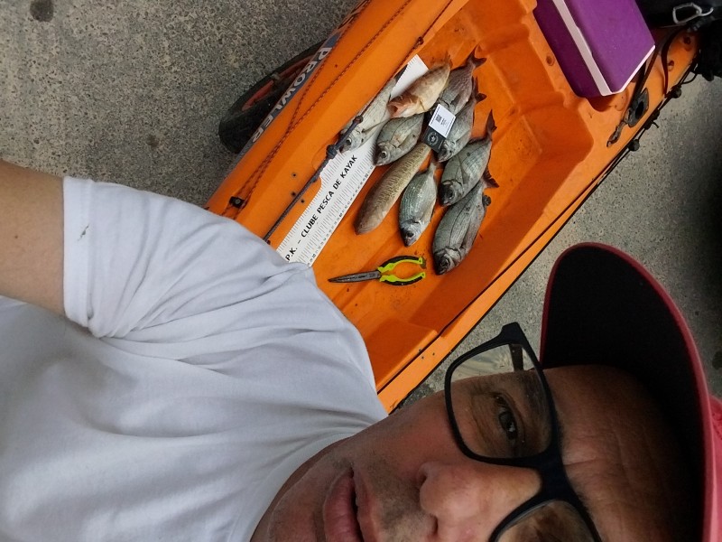 Fish Profile Picture