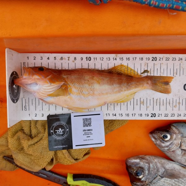 Fish Measure Picture